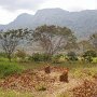 The view from the new school building to the Udzungwa Mountains.